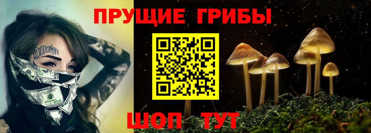 Псилоцибиновые грибы Cubensis  Вход с VPN  Галлюциногенные грибы прущие грибы  Элиста 